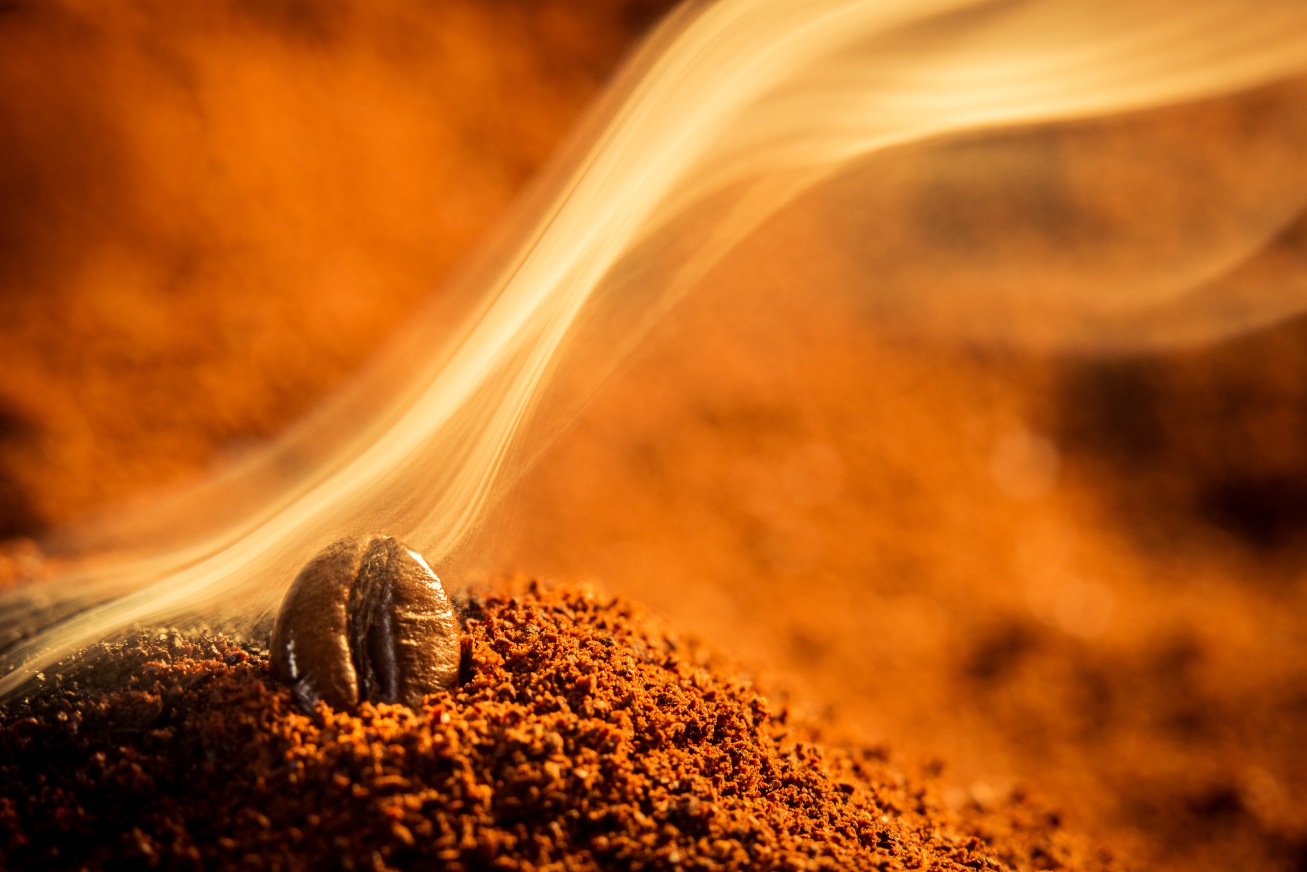 closeup of a single burned coffee bean, showing the dangers of caffeine addiction