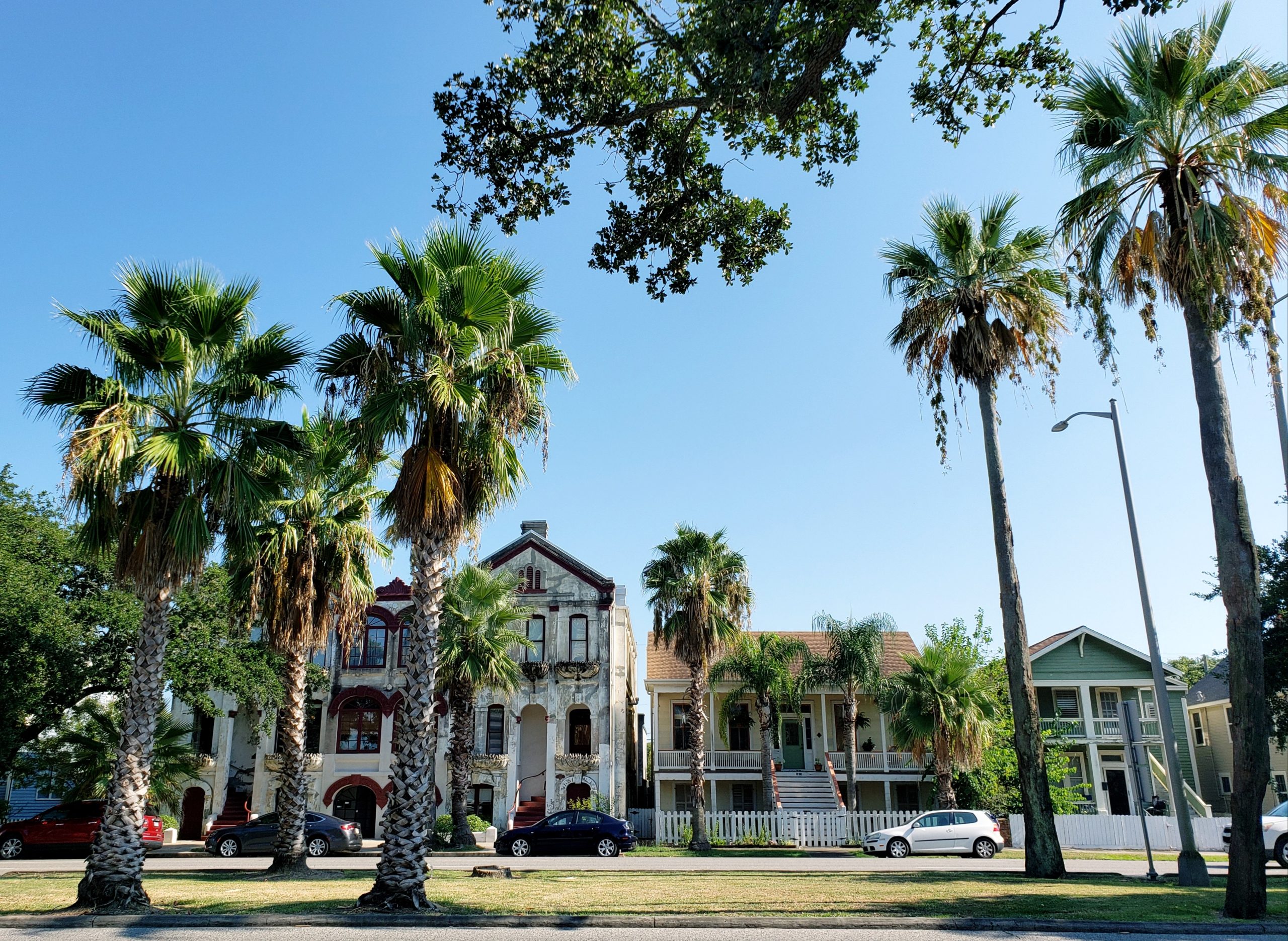 a california street, showcasing the beauty of luxury rehabs