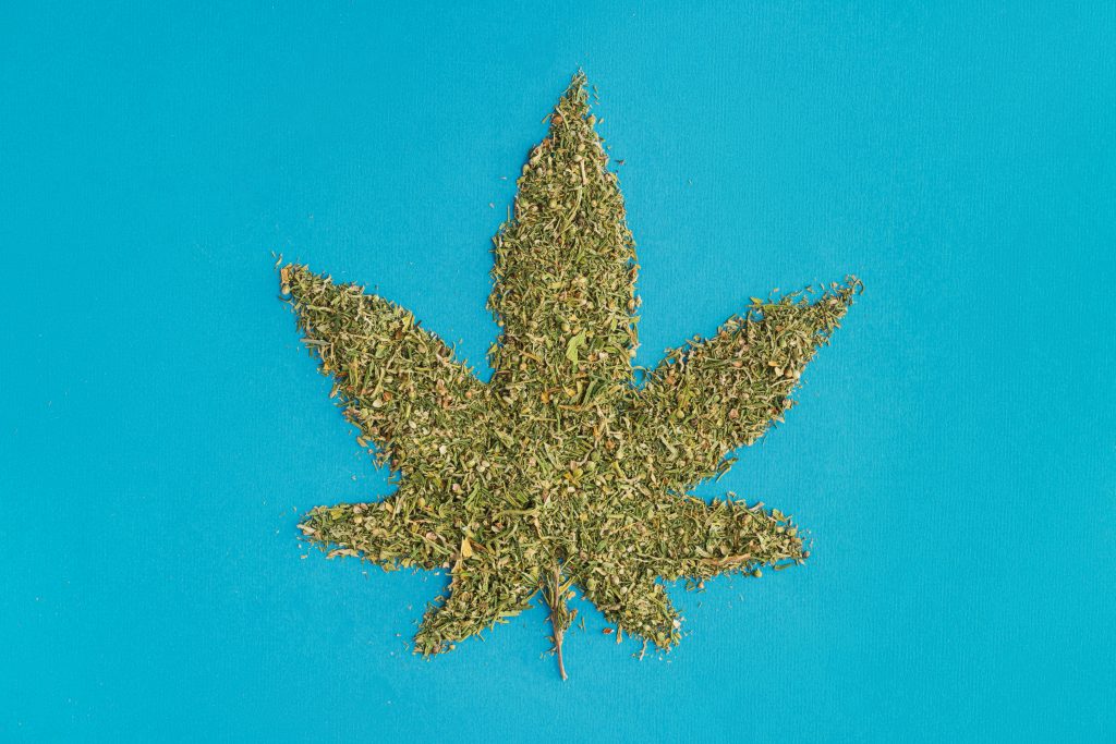 ground cannabis with seeds in the shape of a marijuana leaf on a blue background, highlighting the need for weed addiction treatment