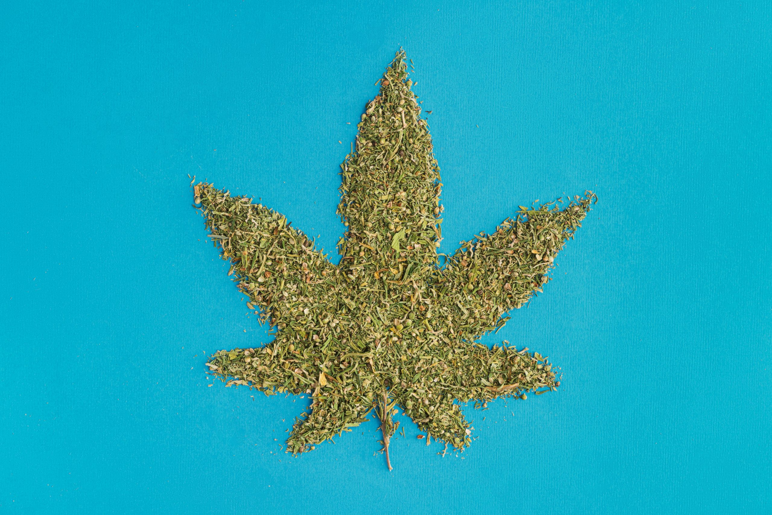 ground cannabis with seeds in the shape of a marijuana leaf on a blue background, highlighting the need for weed addiction treatment
